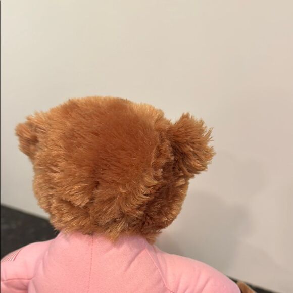 NASA Teddy Bear Astronaut Plush Aurora Stuffed Animal Pink Suit 12" - Picture 10 of 10